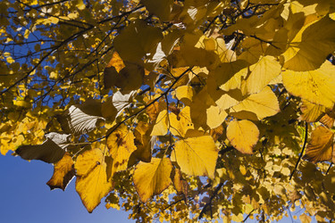 Similar image 1561910