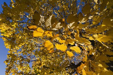 Similar image 1561913