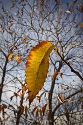 Similar image 1561962