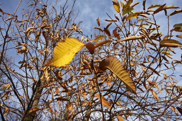 Similar image 1561966