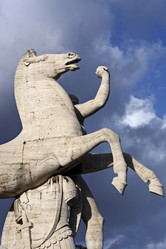 Similar image 1562017