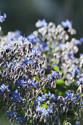 Similar image 1562063