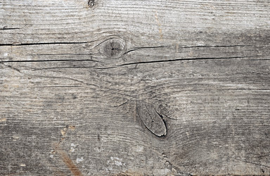 Similar image 1562137