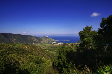 Similar image 1562229