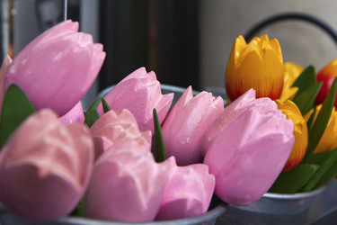 Similar image 1562230