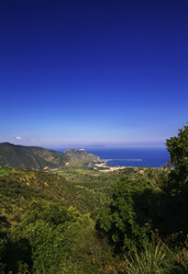 Similar image 1562232