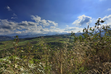 Similar image 1562234