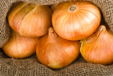 Similar image 1562237