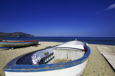 Similar image 1562258