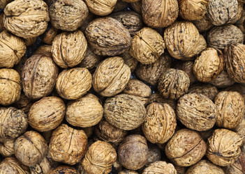 Similar image 1562271