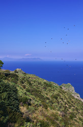 Similar image 1562296