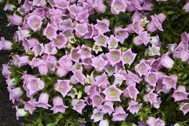 Similar image 1562297