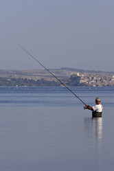 Similar image 1562299