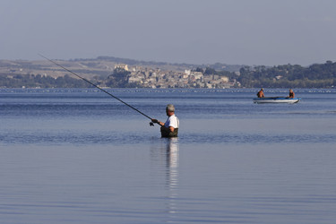 Similar image 1562301