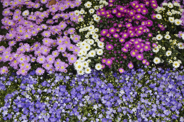 Similar image 1562306