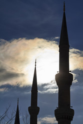 Similar image 1562324