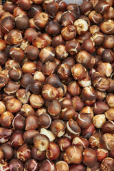 Similar image 1562333