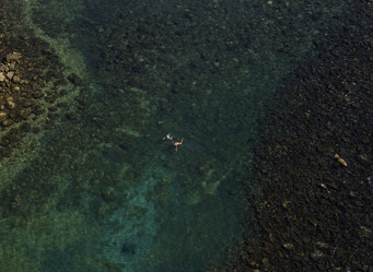 Similar image 1562341