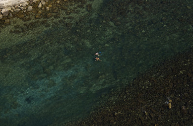 Similar image 1562342