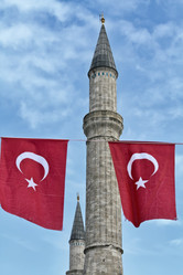 Similar image 1562356