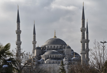 Similar image 1562365