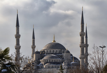 Similar image 1562366