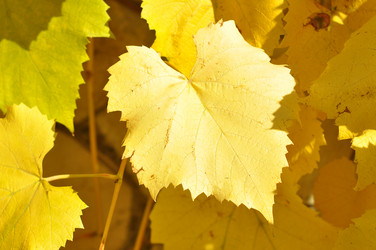 Similar image 1562408