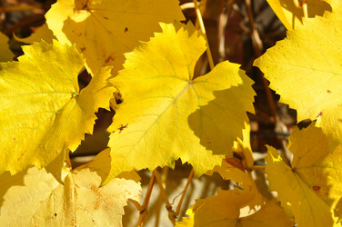 Similar image 1562409