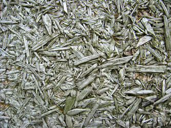 Similar image 1562428