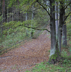 Similar image 1562505