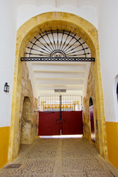 Similar image 1562524