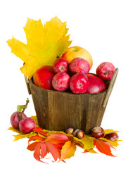 Similar image 1562528