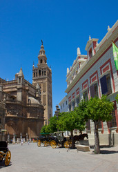 Similar image 1562534