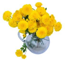 Similar image 1562535