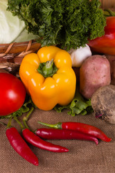 Similar image 1562537