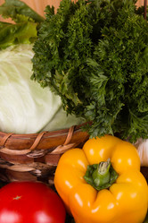 Similar image 1562545