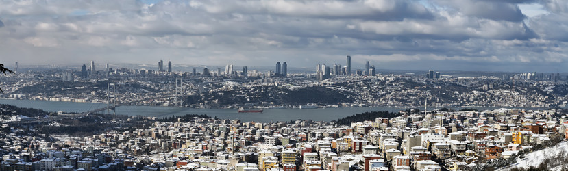 Similar image 1562569