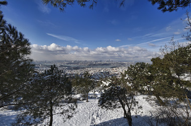 Similar image 1562589