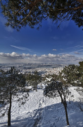 Similar image 1562591