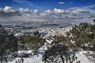 Similar image 1562594