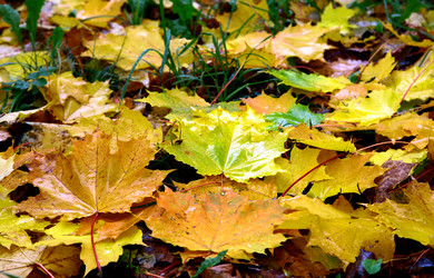 Similar image 1562596