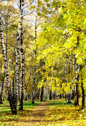 Similar image 1562597