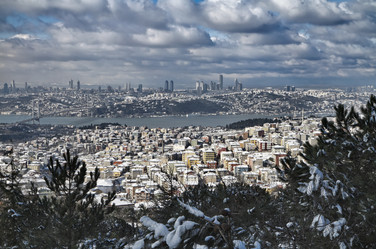 Similar image 1562607