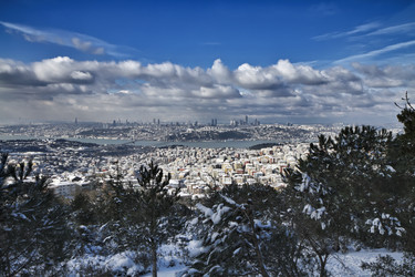 Similar image 1562608