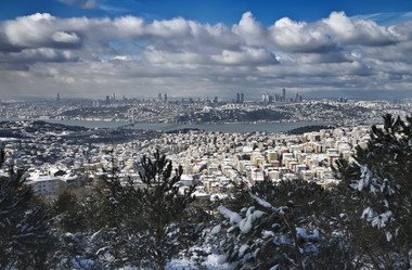 Similar image 1562615