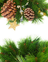 Similar image 1562624