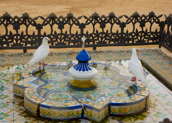 Similar image 1562632