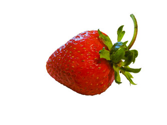 Similar image 1562719