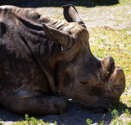 Similar image 1562730