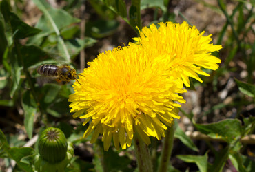 Similar image 1562734